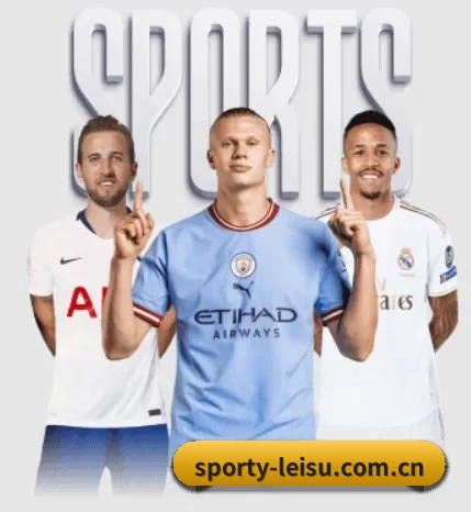 sporty-leisu.com.cn的方向 - 长期内容价值积累